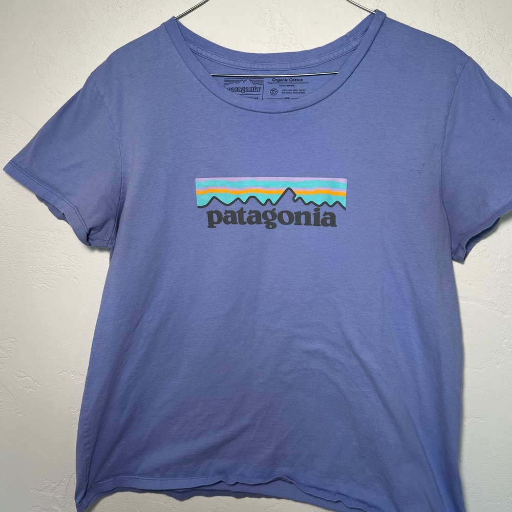 Patagonia t-shirt SIZE M